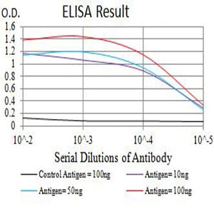 Mouse Monoclonal Antibody to CD1B
