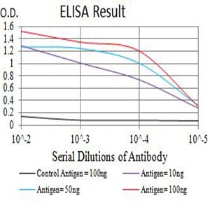 Mouse Monoclonal Antibody to CD63