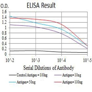 Mouse Monoclonal Antibody to CD40