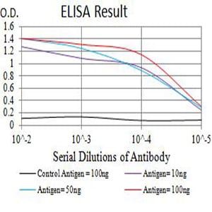 Mouse Monoclonal Antibody to CD44