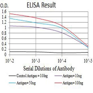 Mouse Monoclonal Antibody to CD44