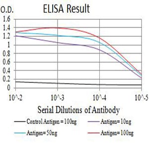 Mouse Monoclonal Antibody to TLL1