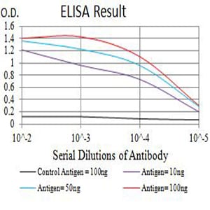 Mouse Monoclonal Antibody to TLL1