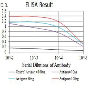 Mouse Monoclonal Antibody to CD3D