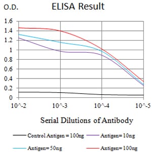 Mouse Monoclonal Antibody to CD39