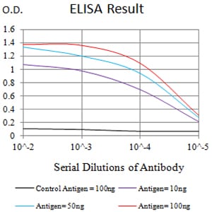 Mouse Monoclonal Antibody to CD39