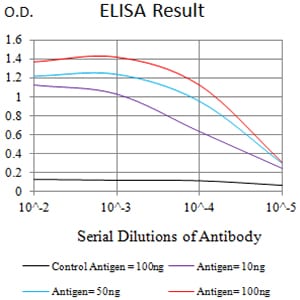 Mouse Monoclonal Antibody to CD45