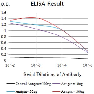 Mouse Monoclonal Antibody to CHRNB3