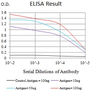 Mouse Monoclonal Antibody to CD203C