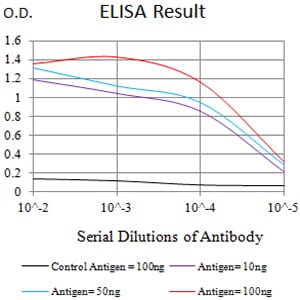 Mouse Monoclonal Antibody to CD79B