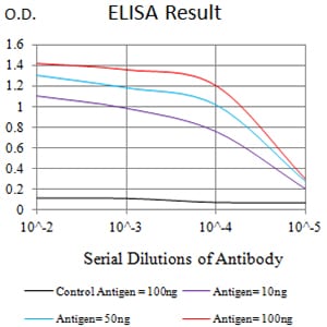 Mouse Monoclonal Antibody to CD205