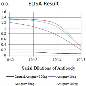 Mouse Monoclonal Antibody to CD42B