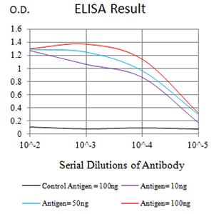 Mouse Monoclonal Antibody to CD64
