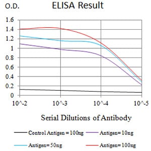 Mouse Monoclonal Antibody to CHRNE