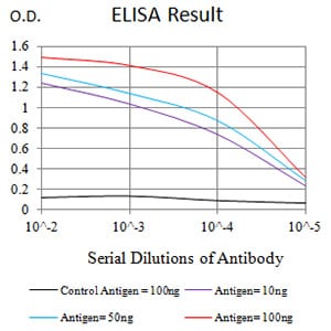 Mouse Monoclonal Antibody to CHRNE