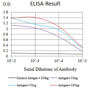 Mouse Monoclonal Antibody to CD8A