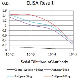 Mouse Monoclonal Antibody to CD89