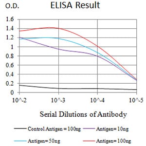 Mouse Monoclonal Antibody to PTPRM