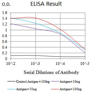 Mouse Monoclonal Antibody to CD16B