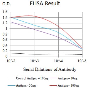 Mouse Monoclonal Antibody to TNFRSF6B
