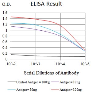 Mouse Monoclonal Antibody to TIM3
