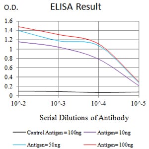Mouse Monoclonal Antibody to CD329