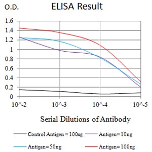 Mouse Monoclonal Antibody to CD57