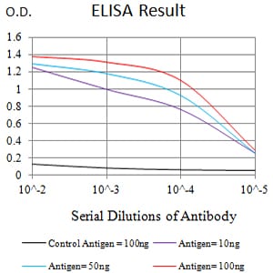Mouse Monoclonal Antibody to CD46