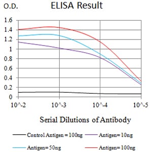 Mouse Monoclonal Antibody to ATG4A