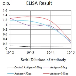 Mouse Monoclonal Antibody to ATG4A