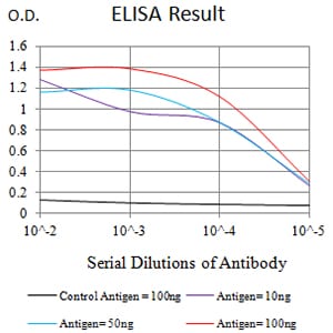 Mouse Monoclonal Antibody to TNFRSF12A