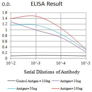 Mouse Monoclonal Antibody to CD352