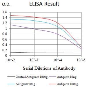 Mouse Monoclonal Antibody to CD339