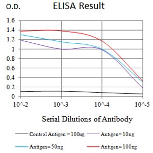Mouse Monoclonal Antibody to CD282