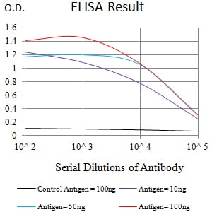 Mouse Monoclonal Antibody to GITR