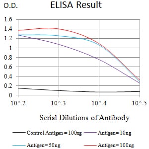 Mouse Monoclonal Antibody to CD72