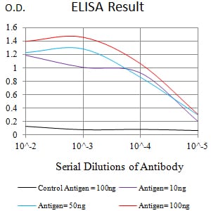 Mouse Monoclonal Antibody to FCGRT