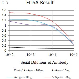 Mouse Monoclonal Antibody to FCGRT