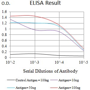 Mouse Monoclonal Antibody to BCL10