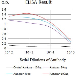 Mouse Monoclonal Antibody to CLL1