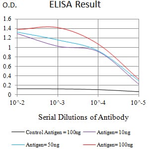 Mouse Monoclonal Antibody to CD352