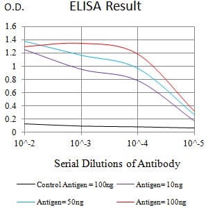 Mouse Monoclonal Antibody to IL10RB