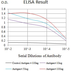Mouse Monoclonal Antibody to CD339