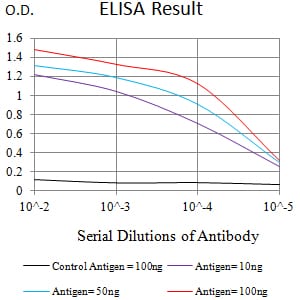 Mouse Monoclonal Antibody to CD336