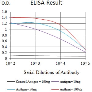 Mouse Monoclonal Antibody to RAB27B
