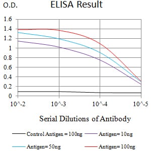 Mouse Monoclonal Antibody to CD120B
