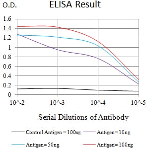 Mouse Monoclonal Antibody to CD120B