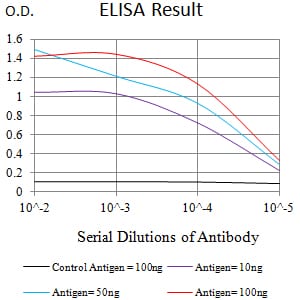 Mouse Monoclonal Antibody to IL10RB