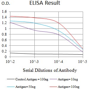 Mouse Monoclonal Antibody to CD243