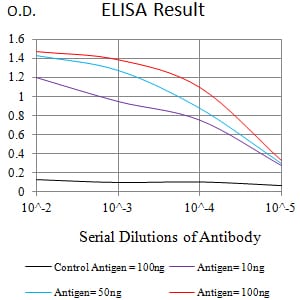 Mouse Monoclonal Antibody to LTBR